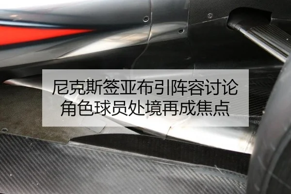 尼克斯签亚布引阵容讨论 角色球员处境再成焦点